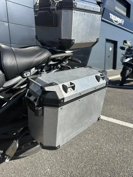 TIGER 800 XRX LOW