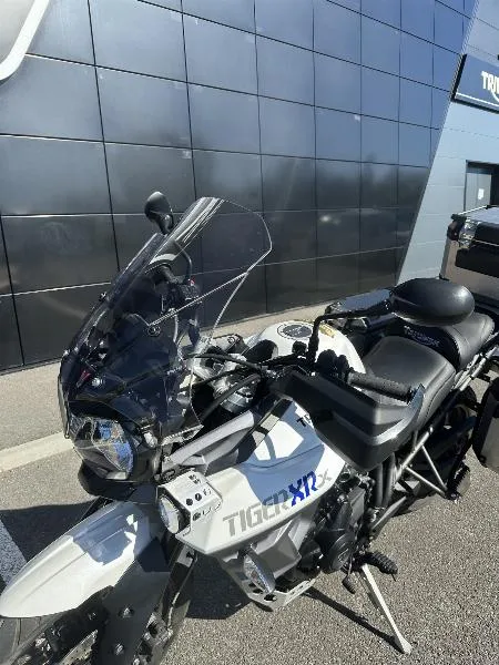 TIGER 800 XRX LOW