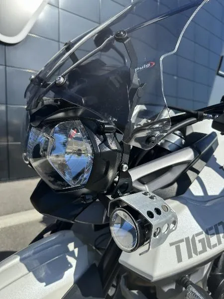 TIGER 800 XRX LOW