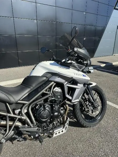 TIGER 800 XRX LOW