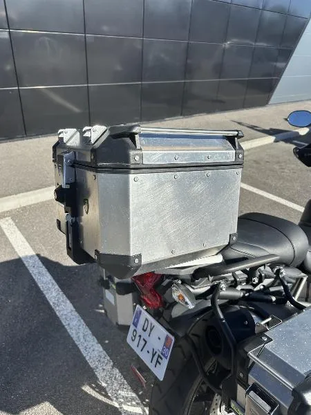 TIGER 800 XRX LOW