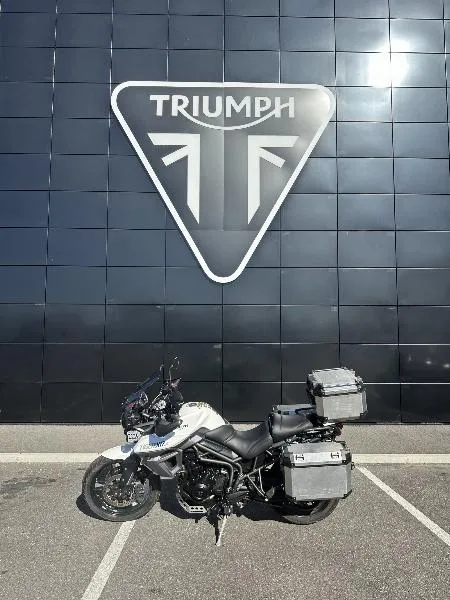 TIGER 800 XRX LOW