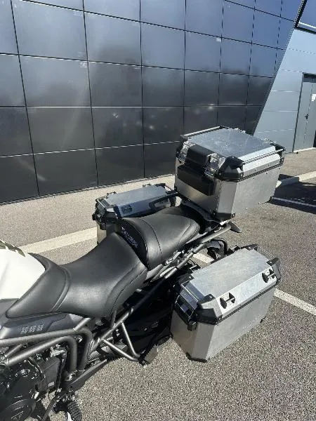 TIGER 800 XRX LOW