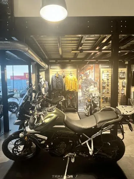 TIGER 900 RALLY PRO