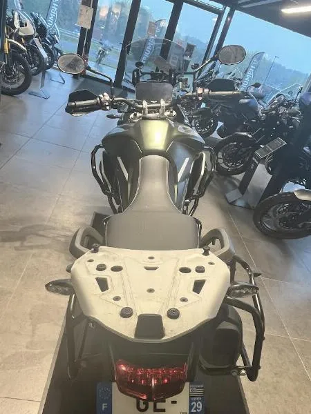 TIGER 900 RALLY PRO
