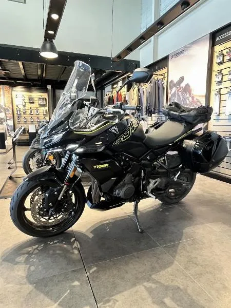 TIGER SPORT 800 2025