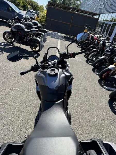 TIGER SPORT 660