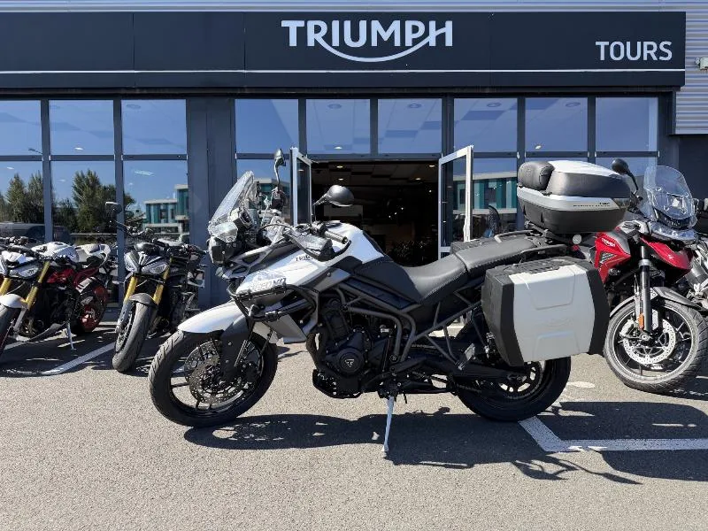 TIGER 800 XR