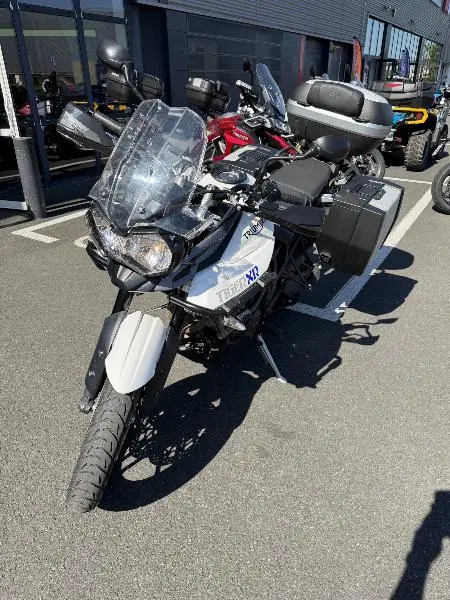 TIGER 800 XR