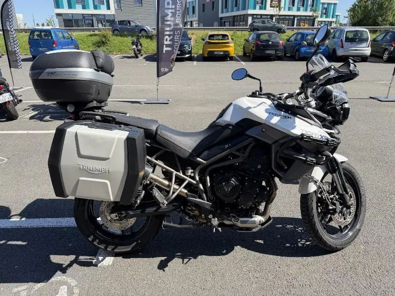 TIGER 800 XR