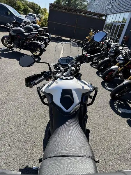TIGER 800 XR