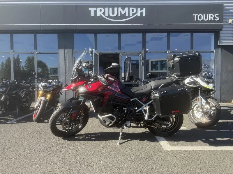Tiger 900 GT PRO