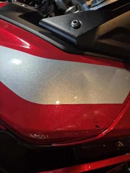 Tiger 900 GT PRO
