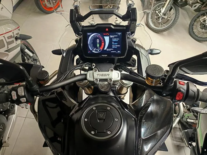 TIGER 1200 RALLY PRO