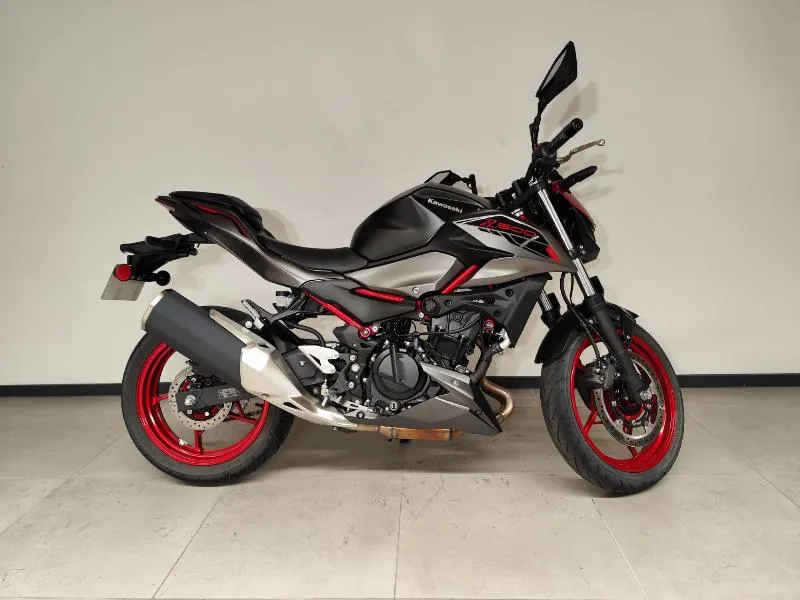 Z500 SE