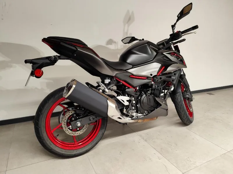 Z500 SE
