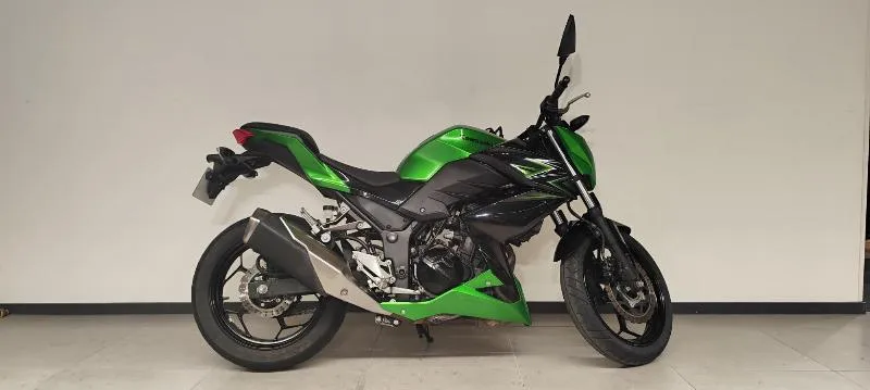 Z 300 2016