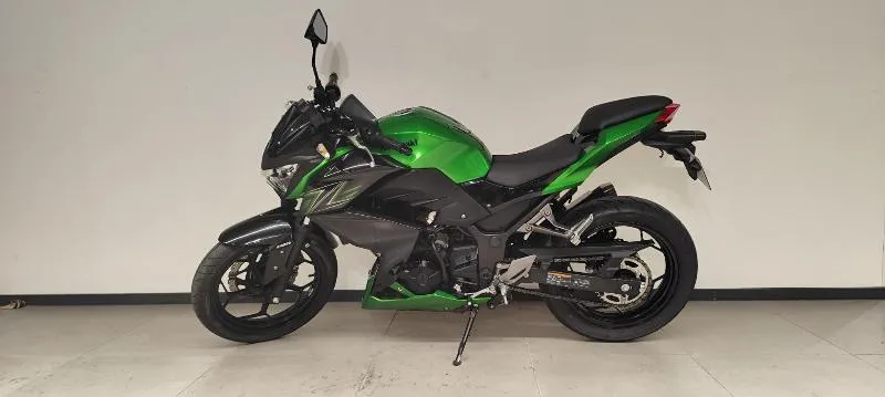 Z 300