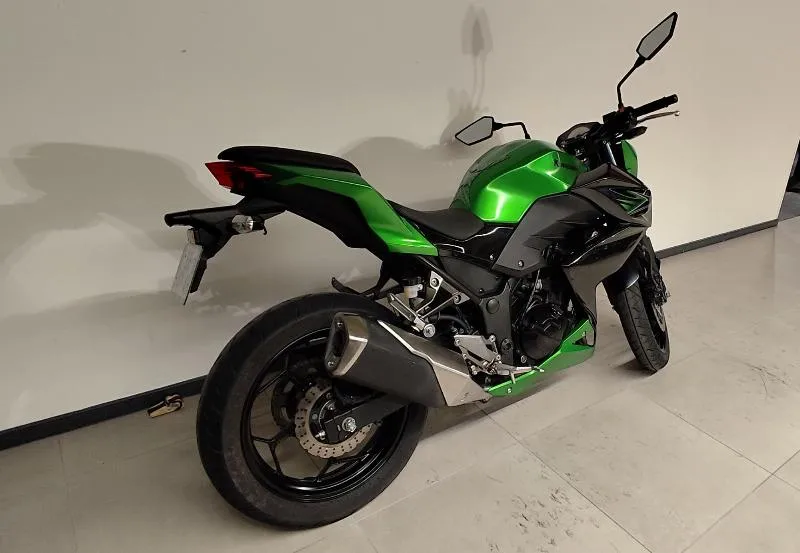 Z 300