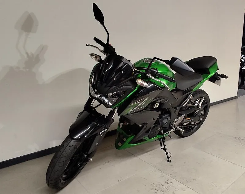 Z 300