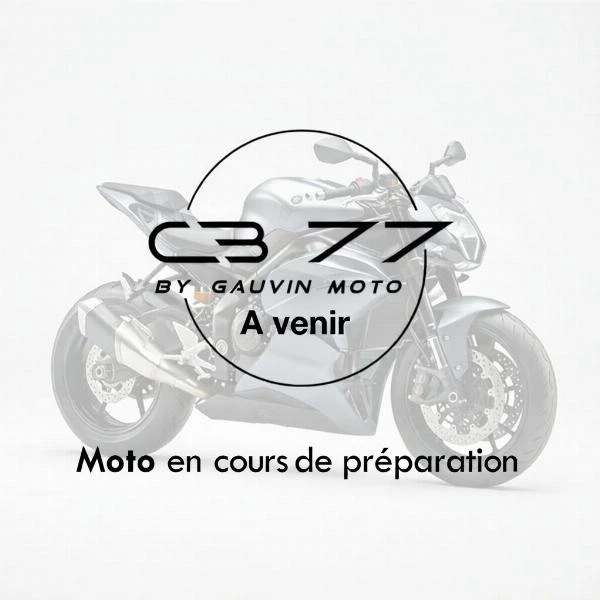 CRF 1100  L AFRICA TWIN