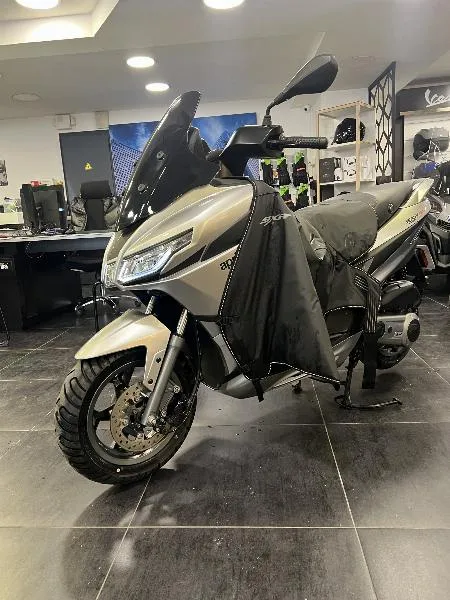 SXR 50