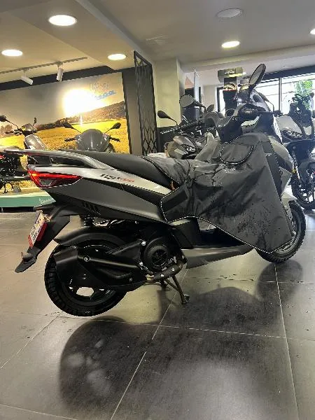 SXR 50