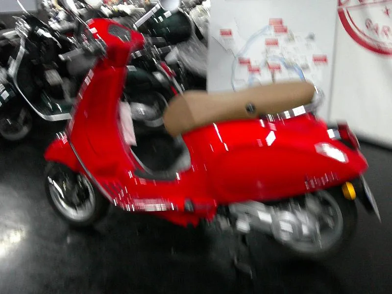 PRIMAVERA 50
