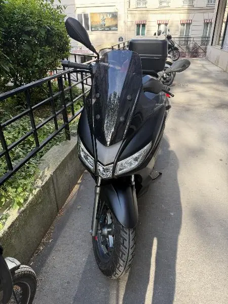 SXR 50