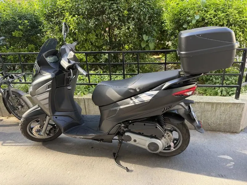 SXR 50
