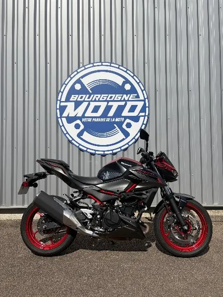 Z 500 SE 2024