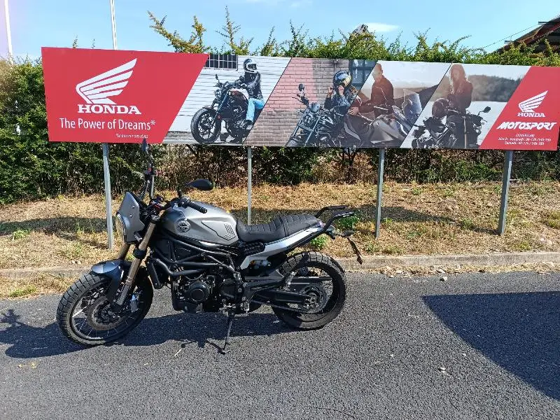 LEONCINO 800 T
