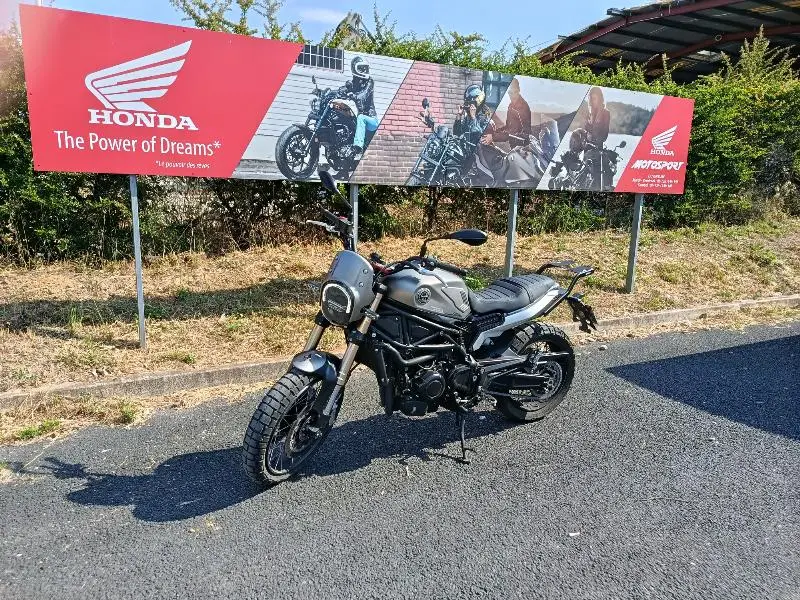 LEONCINO 800 T