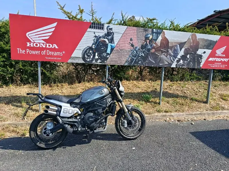 LEONCINO 800 T