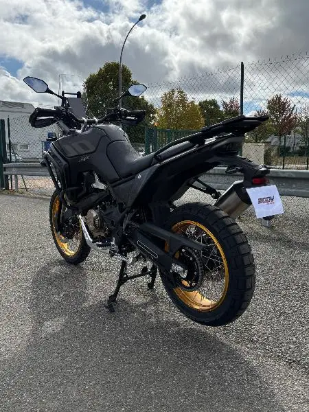 800 RALLY