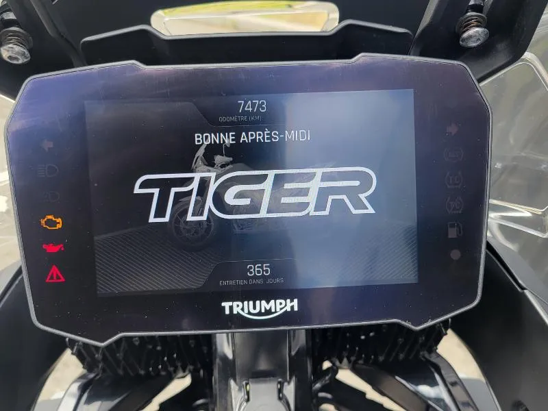 Tiger 900 GT PRO