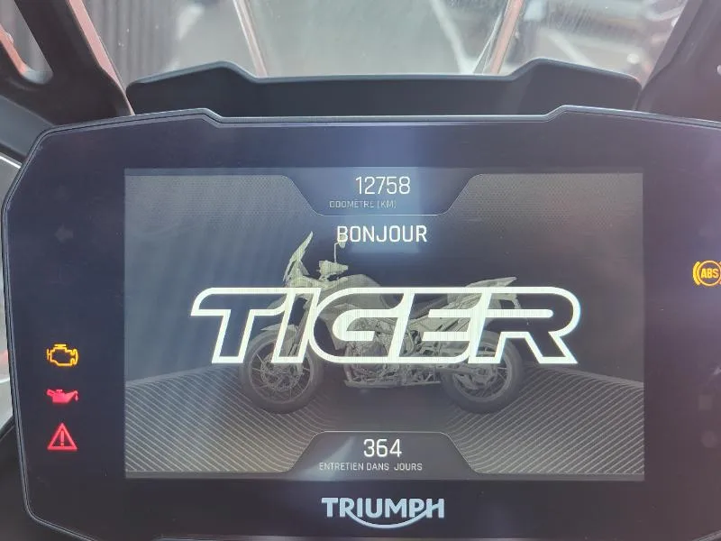 TIGER 900 RALLY PRO