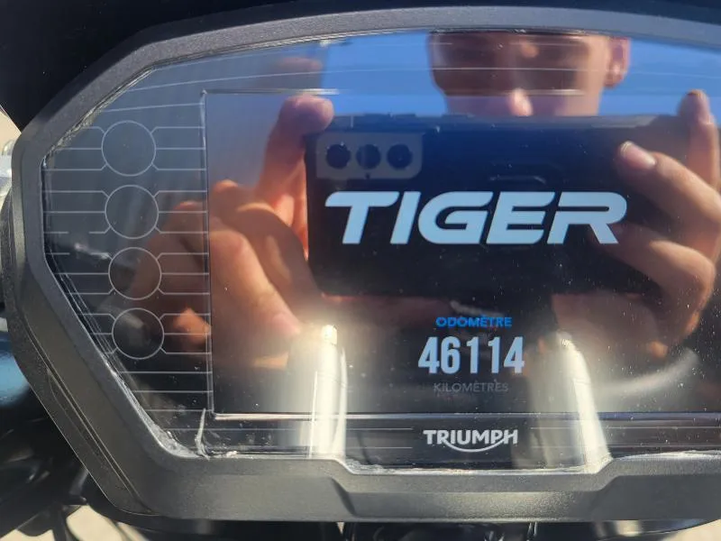 TIGER 1200 DESERT EDITION