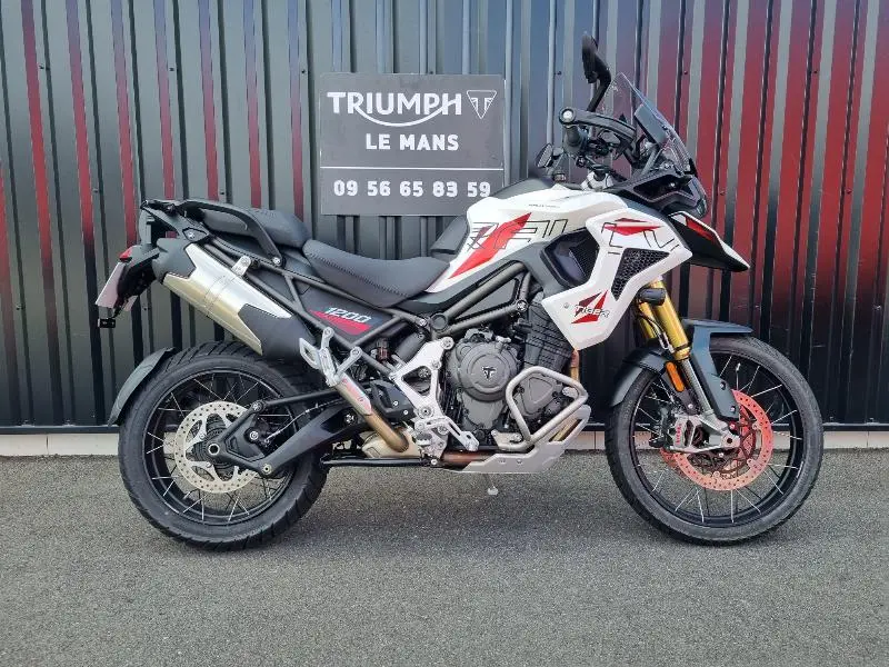 TIGER 1200 DESERT EDITION