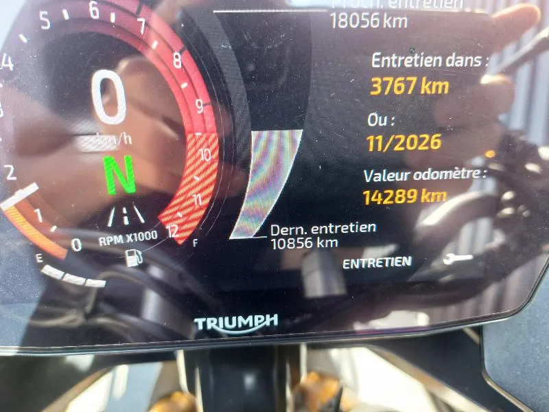 TIGER 900 RALLY PRO
