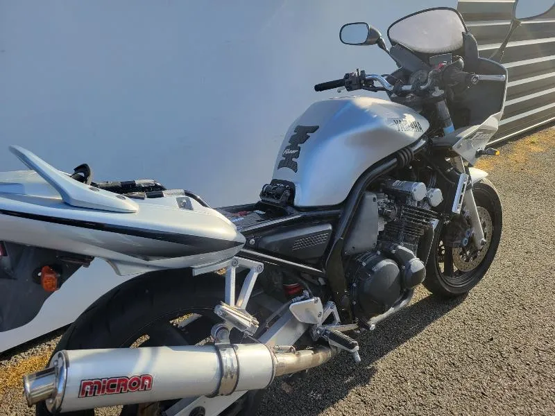 FZS FAZER
