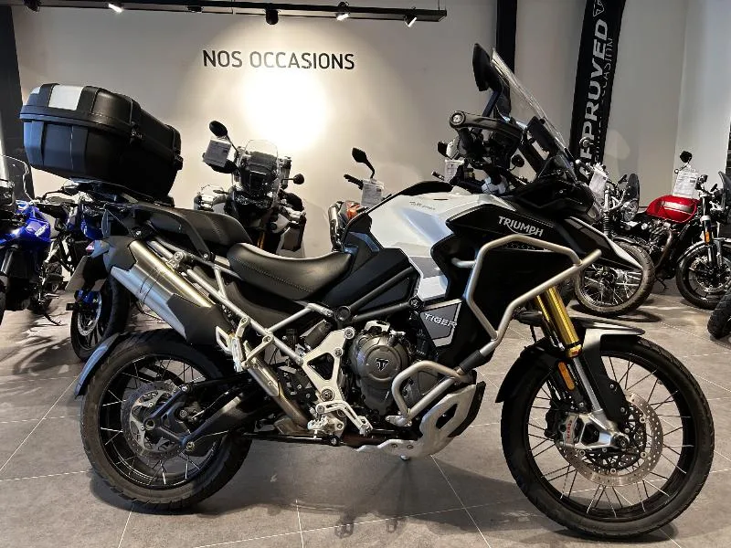 TIGER 1200 RALLY EXPLORER 2024