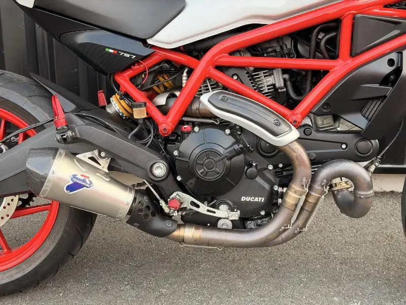 MONSTER 797