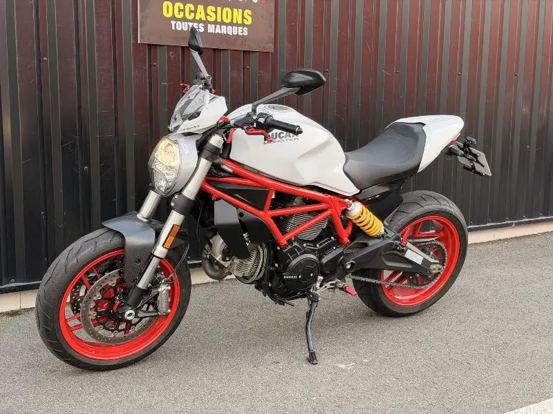 MONSTER 797