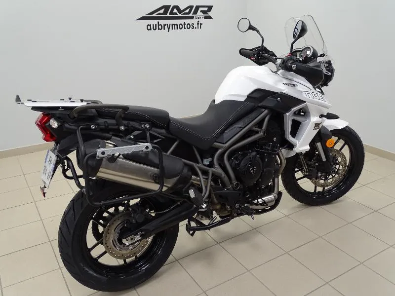 TIGER 800 XRX
