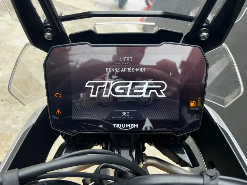 TIGER 900 RALLY PRO