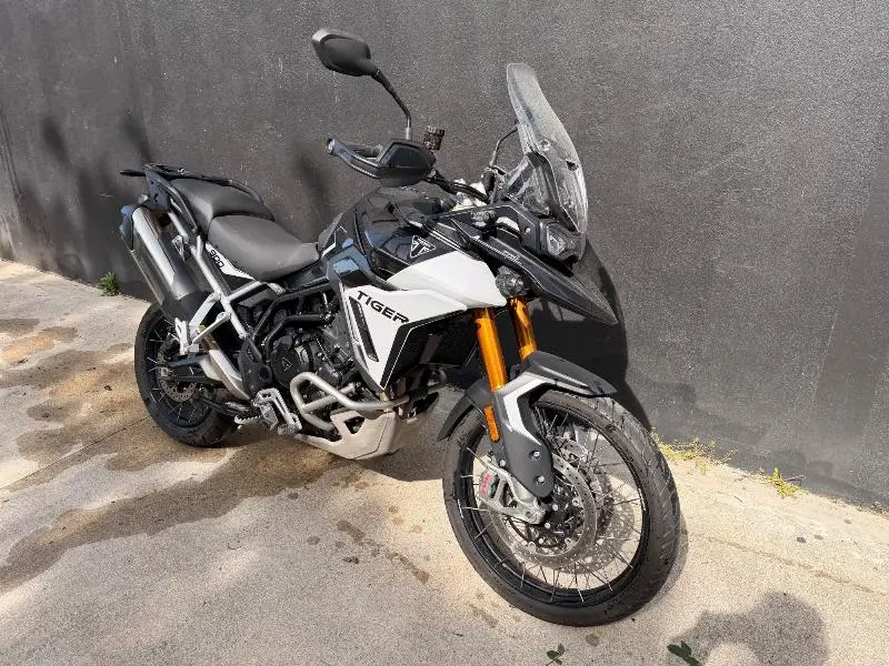 TIGER 900 RALLY PRO