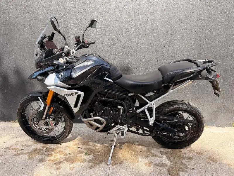TIGER 900 RALLY PRO