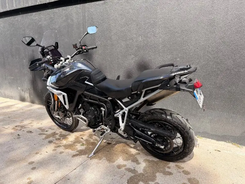 TIGER 900 RALLY PRO