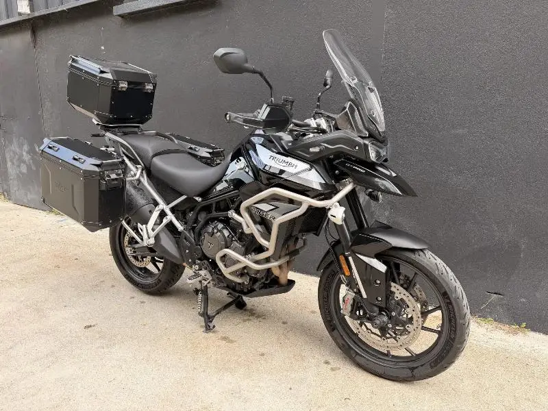 Tiger 900 GT PRO